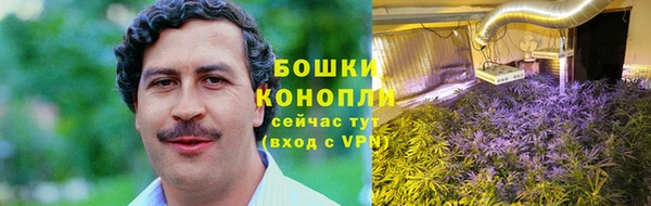 ешки Алексеевка