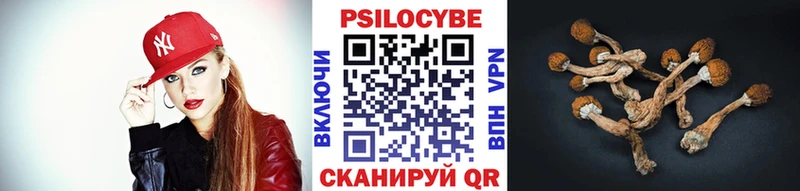 Галлюциногенные грибы Psilocybine cubensis  кракен рабочий сайт  Сосенский 